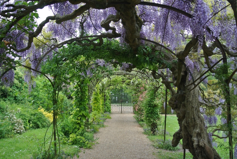 Somerleyton Hall Gardens